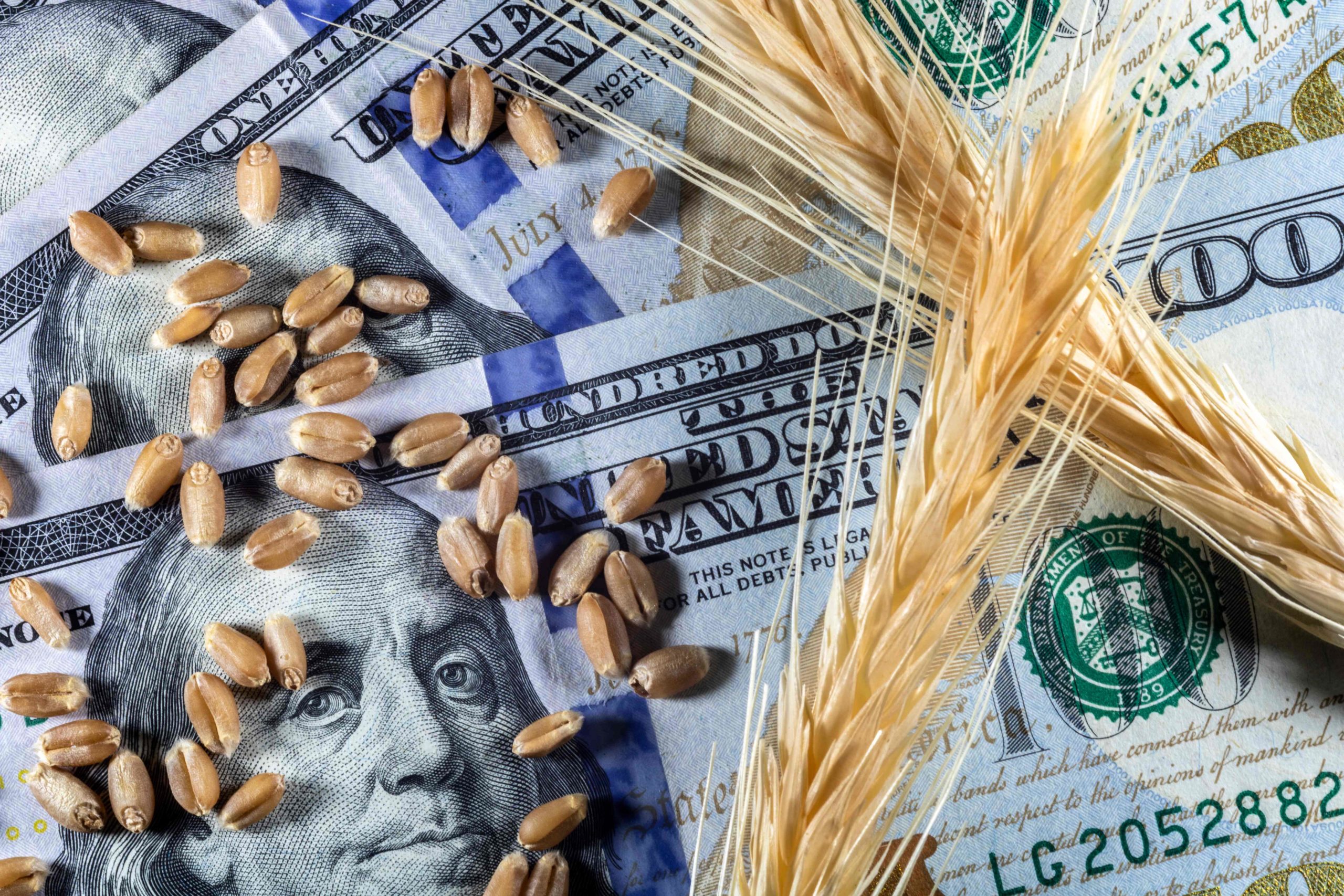 Commodity Banking Conoscenze di base