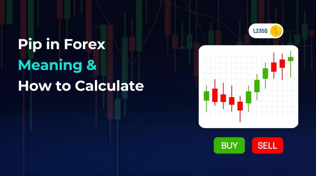 What Is a Pip in Forex Meaning & How to Calculate