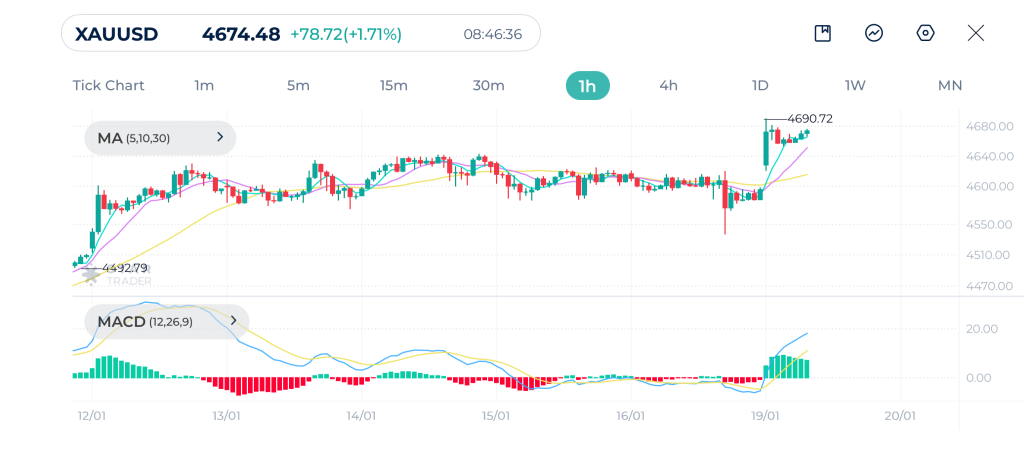 Gold 1H Chart 19-1-2026