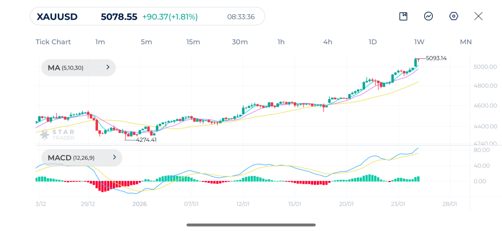 Gold 4H Chart 26-1-2026