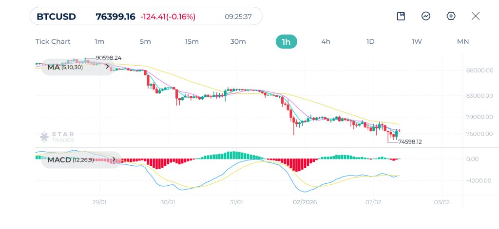 Bitcoin 1H Chart 02-02-2026