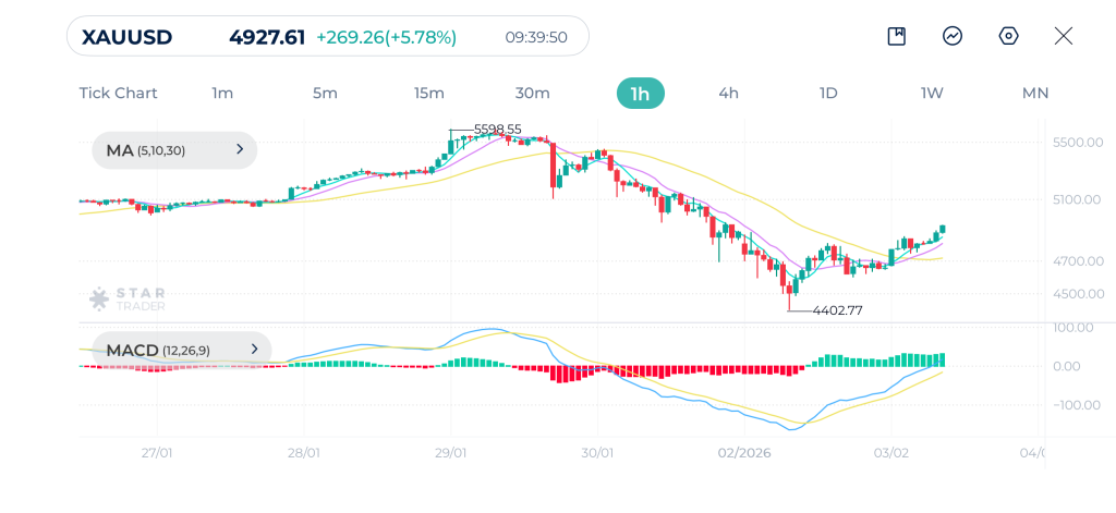 Gold 1H Chart 03-02-2026