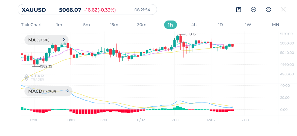 Gold 1H Chart 12-02-2026
