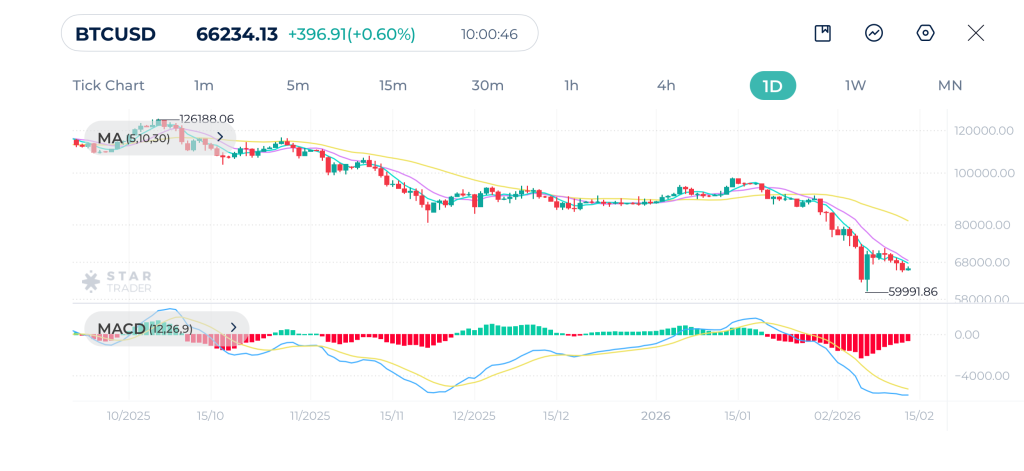 Bitcoin Daily Chart 13-02-2026