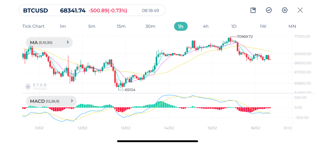 Bitcoin 1H Chart 16-02-2026