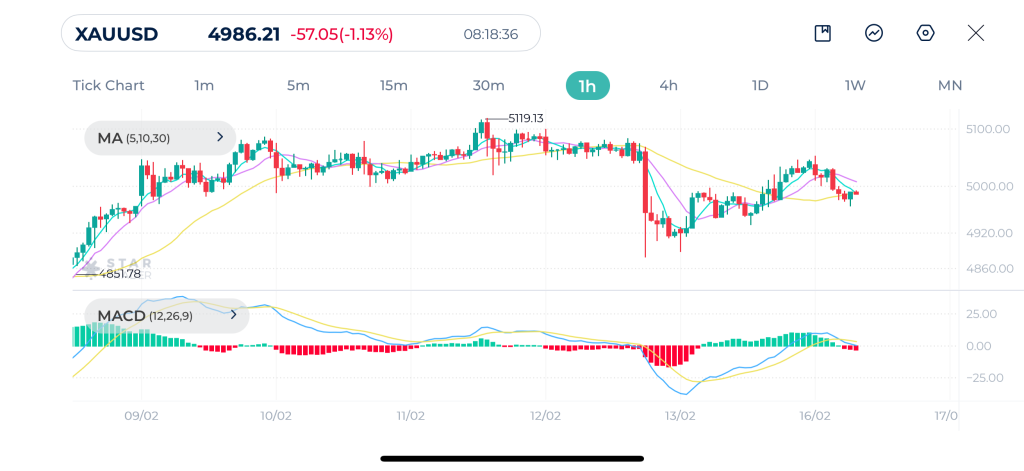Gold 1H Chart 16-02-2026