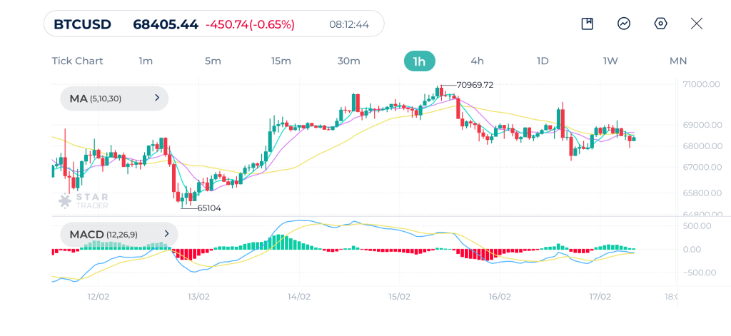 Bitcoin 1H Chart 17-02-2026