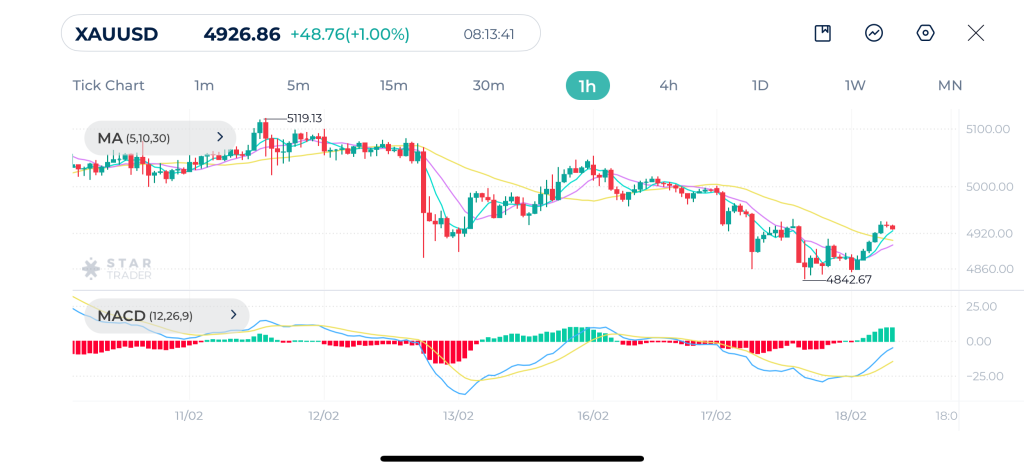 Gold 1H Chart 18-02-2026