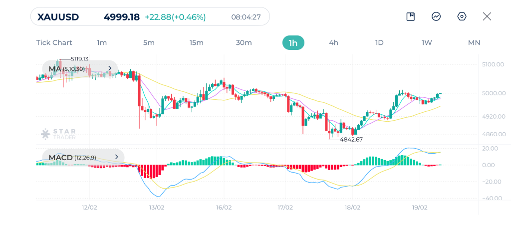 Gold 1H Chart 19-02-2026