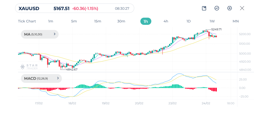 Gold 1H Chart 24-02-2026