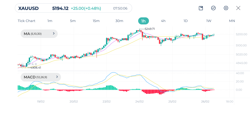 Gold 1H Chart 26-02-2026